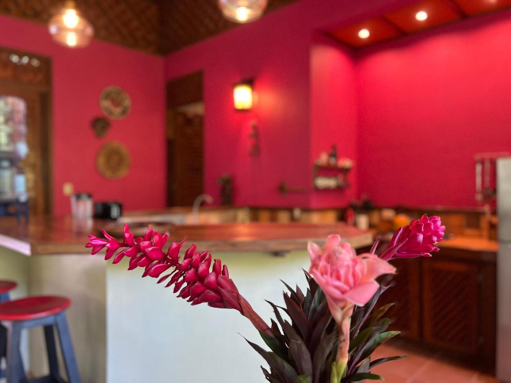 Geckoes Lodge Cocles Exterior foto