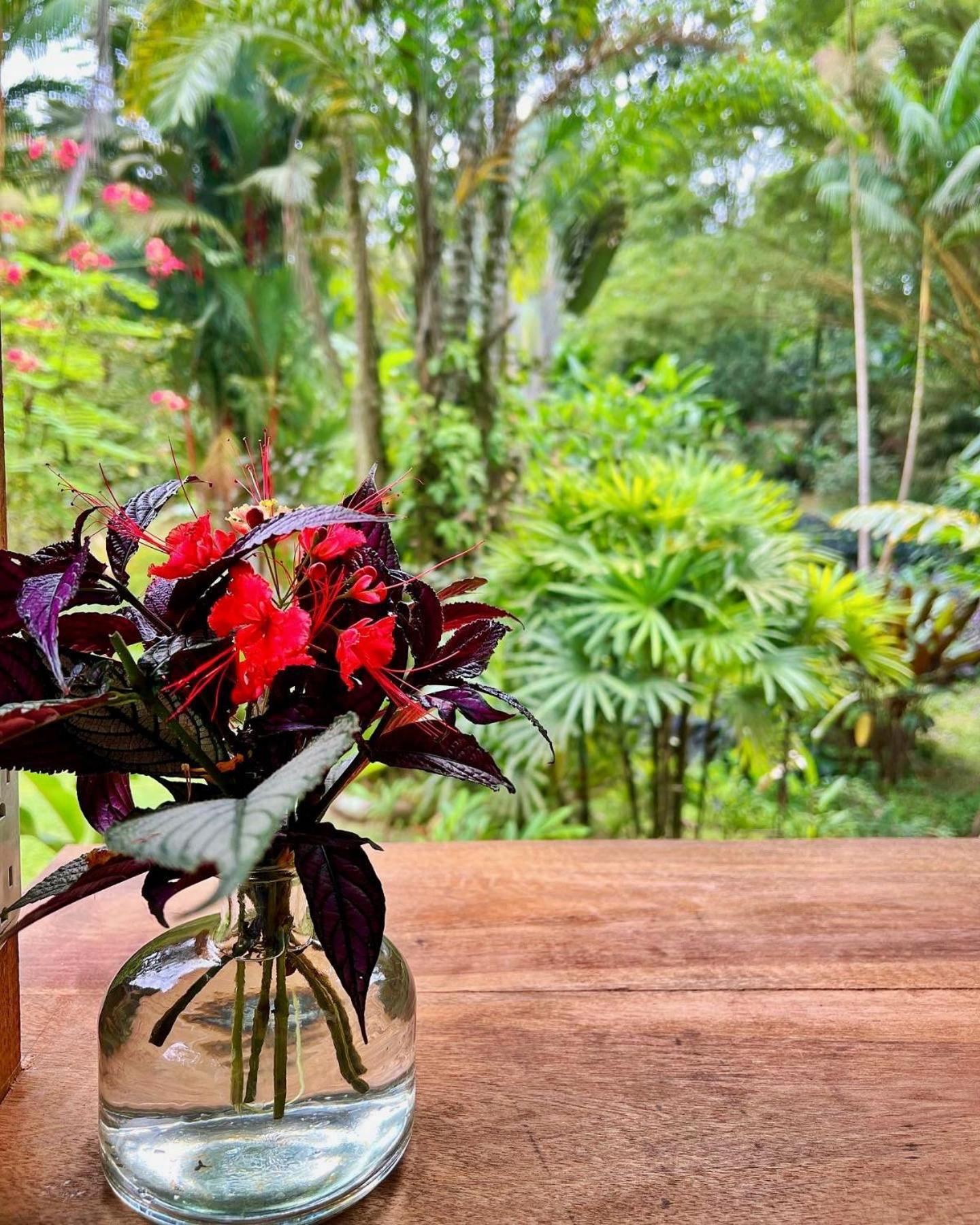 Geckoes Lodge Cocles Exterior foto