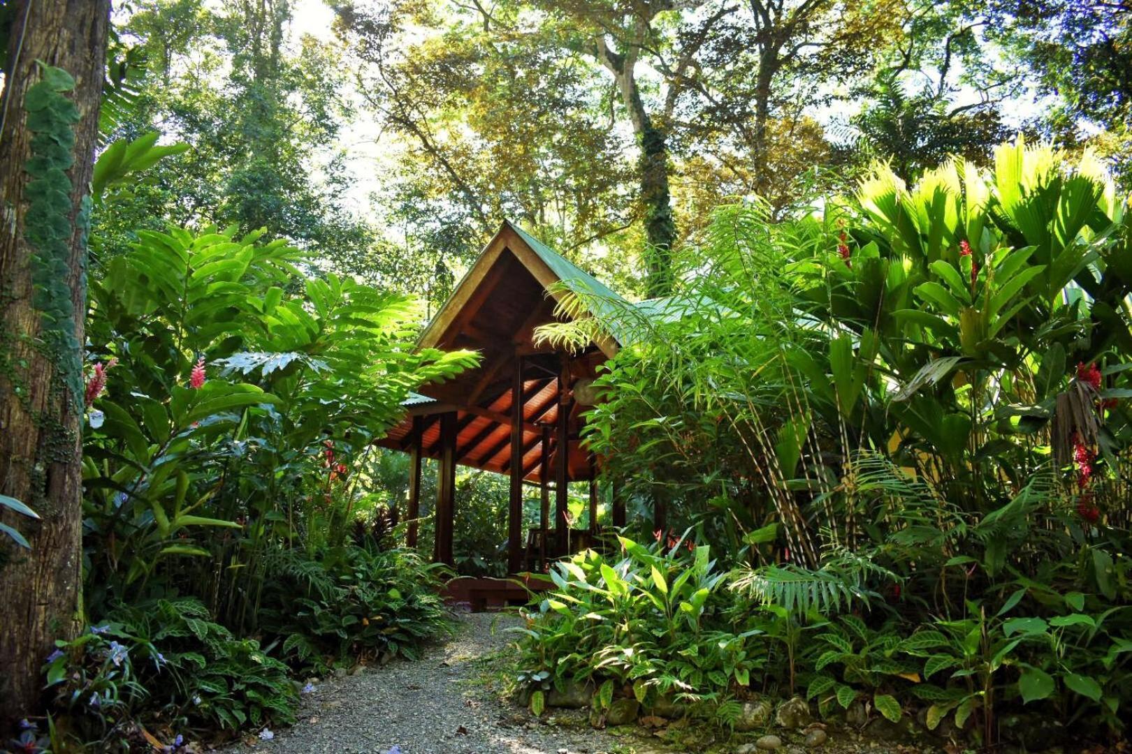 Geckoes Lodge Cocles Exterior foto