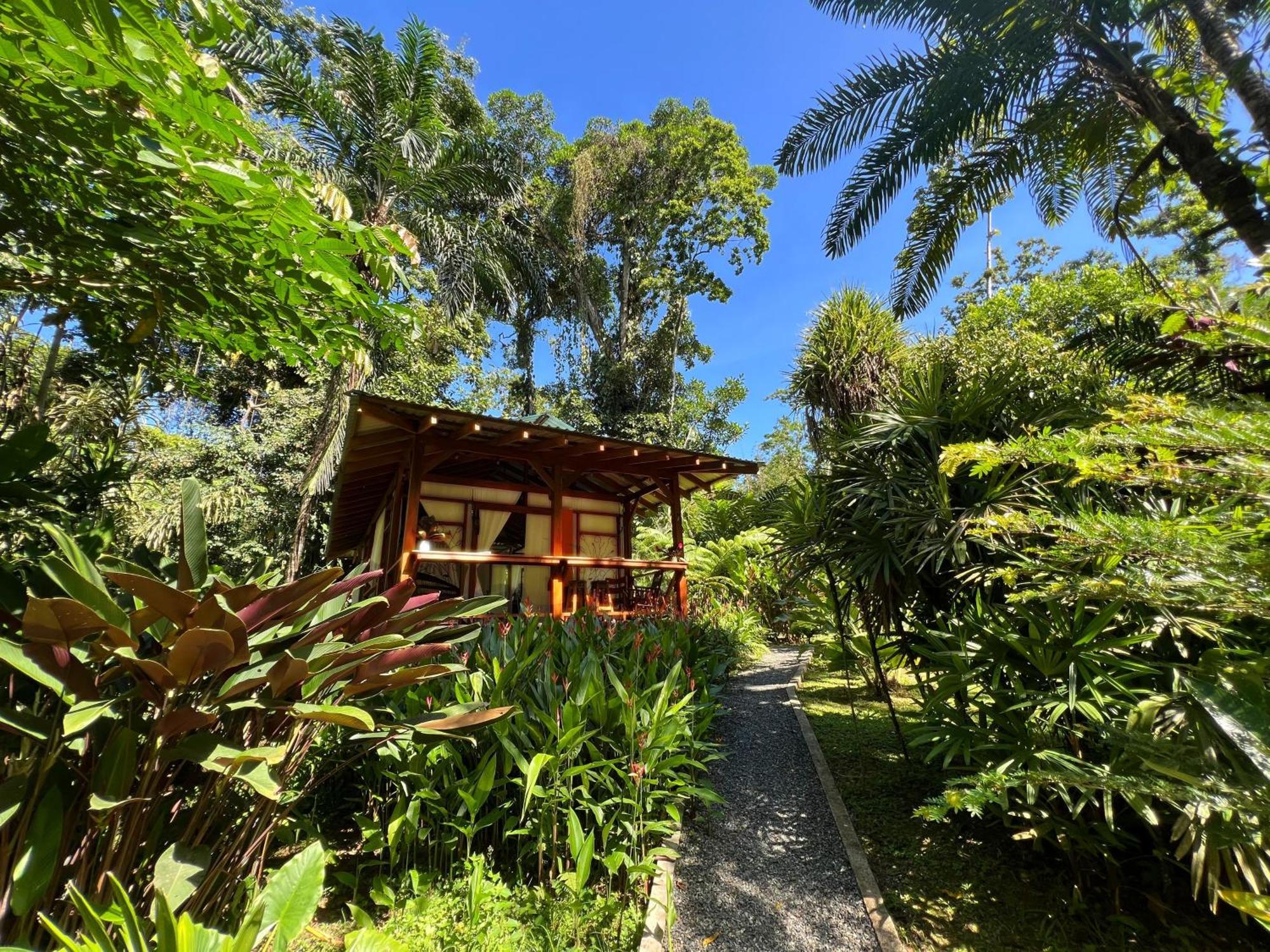 Geckoes Lodge Cocles Exterior foto