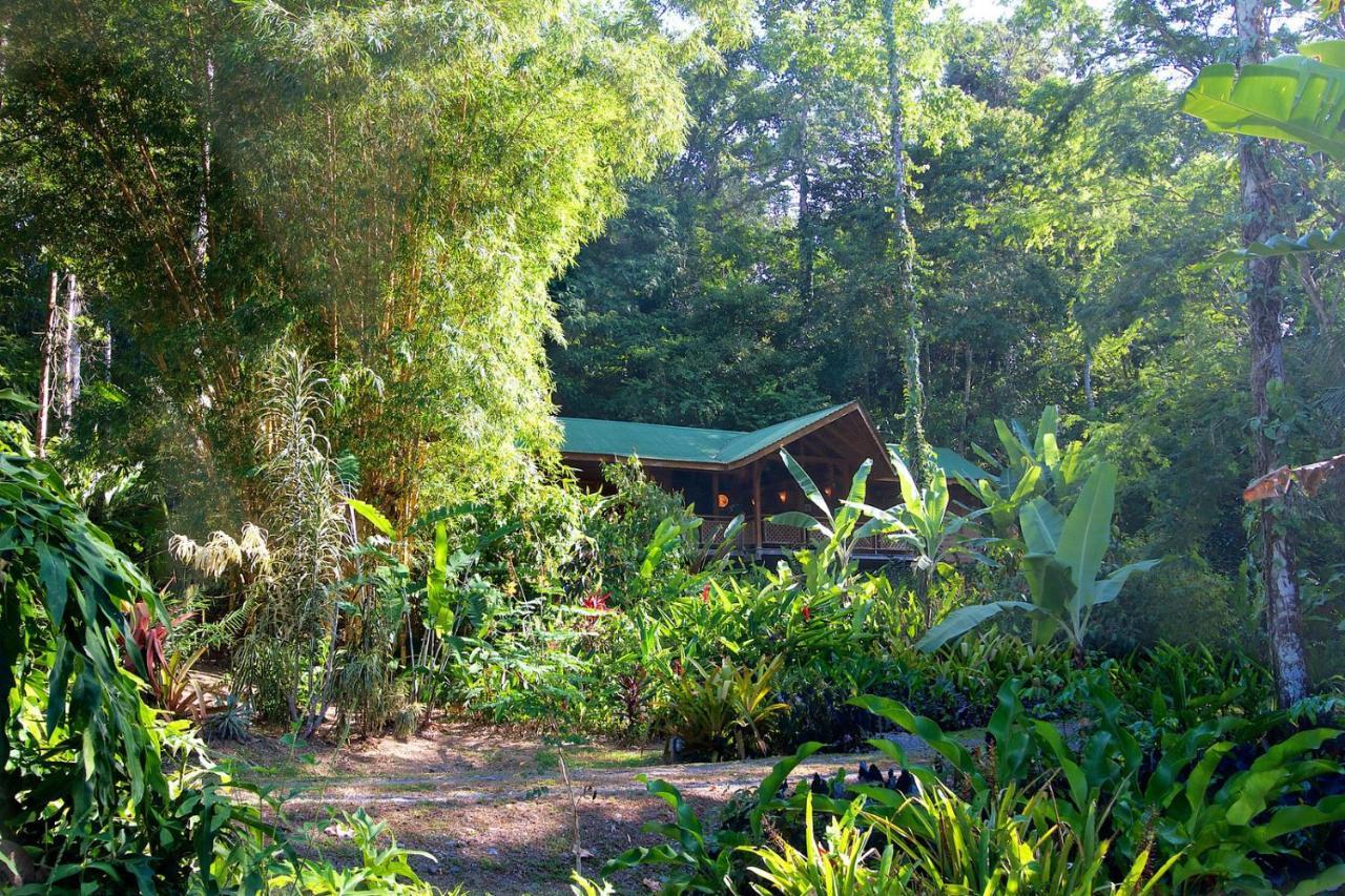 Geckoes Lodge Cocles Exterior foto