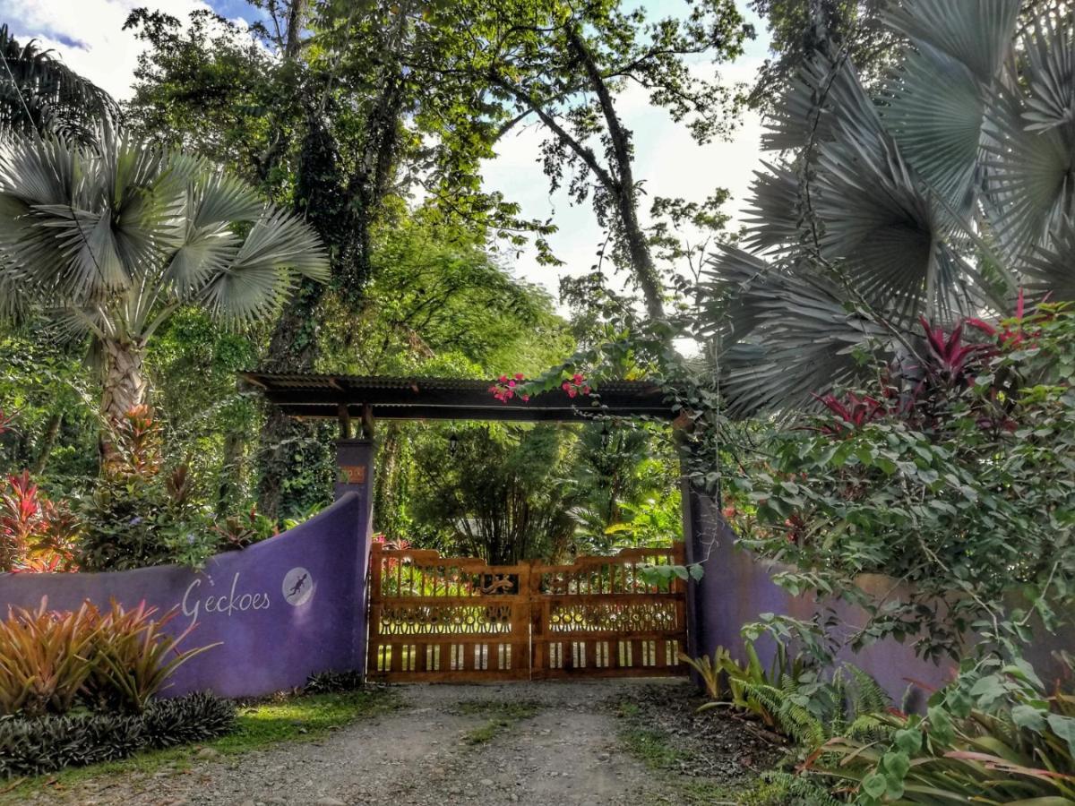 Geckoes Lodge Cocles Exterior foto