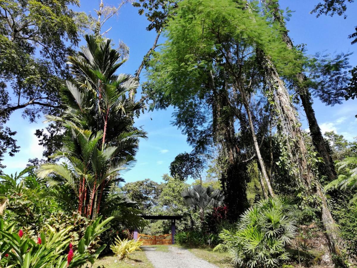 Geckoes Lodge Cocles Exterior foto